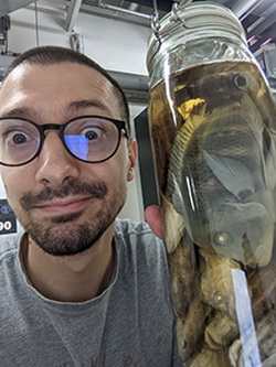 Enea Parimbelli