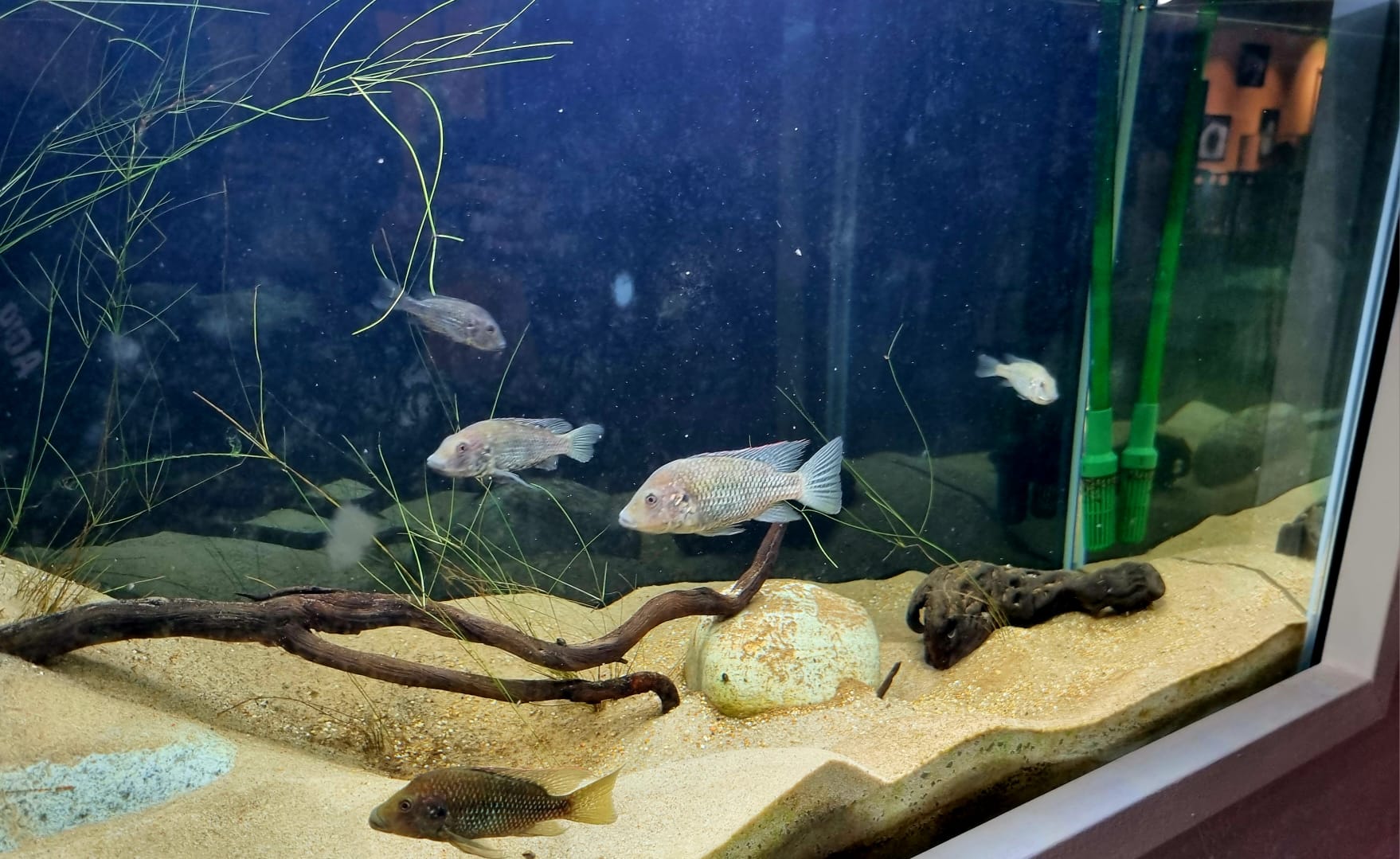 PHOTO 2025 11 08 18 49 26