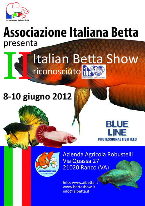 poster ITA 3